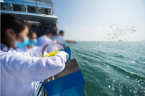 骨灰撒大海还要祭祀吗