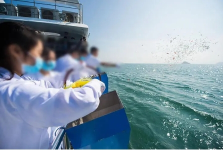 骨灰海撒后骨灰盒怎么处理