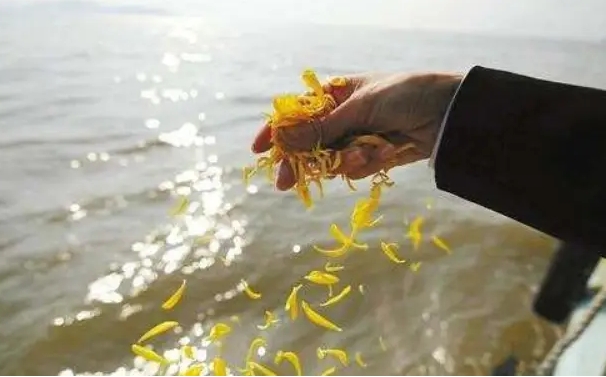 北京骨灰海撒办电话是多少