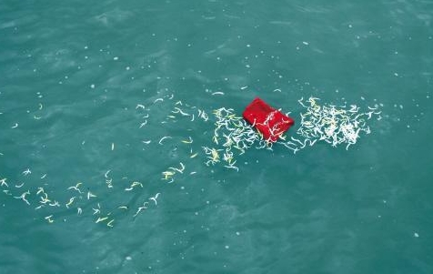 骨灰海撒如何办理手续?费用多少