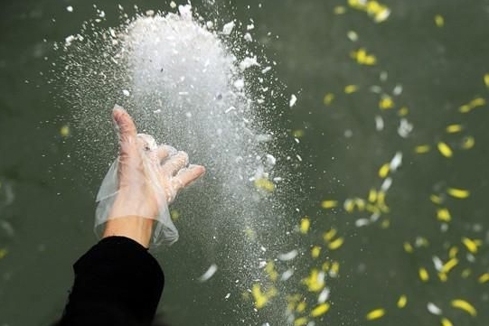 骨灰海撒后如何祭奠