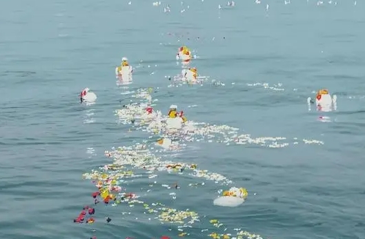 清明节可以海撒吗?
