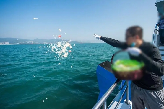 北京海葬在哪个海进行海撒